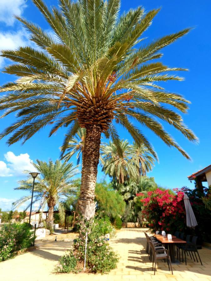 Golden Palms Guest House & Cafe Famaguszta Kültér fotó