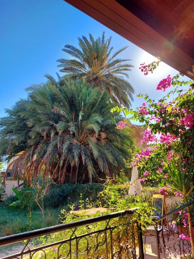 Golden Palms Guest House & Cafe Famaguszta Kültér fotó