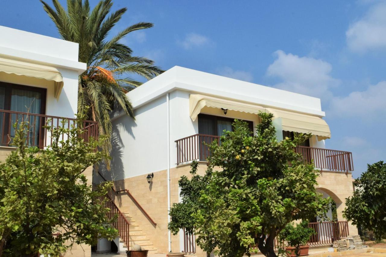 Golden Palms Guest House & Cafe Famaguszta Kültér fotó